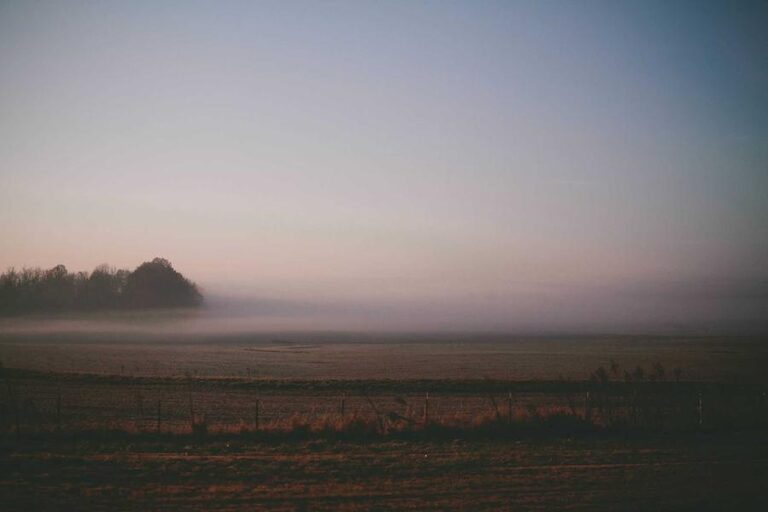 resized_15_fallback